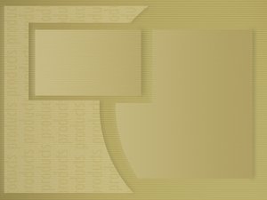 文档管理